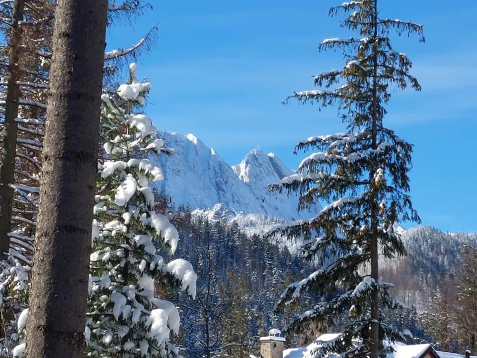 Апартаменты Dom Pod Skocznia Закопане Экстерьер фото