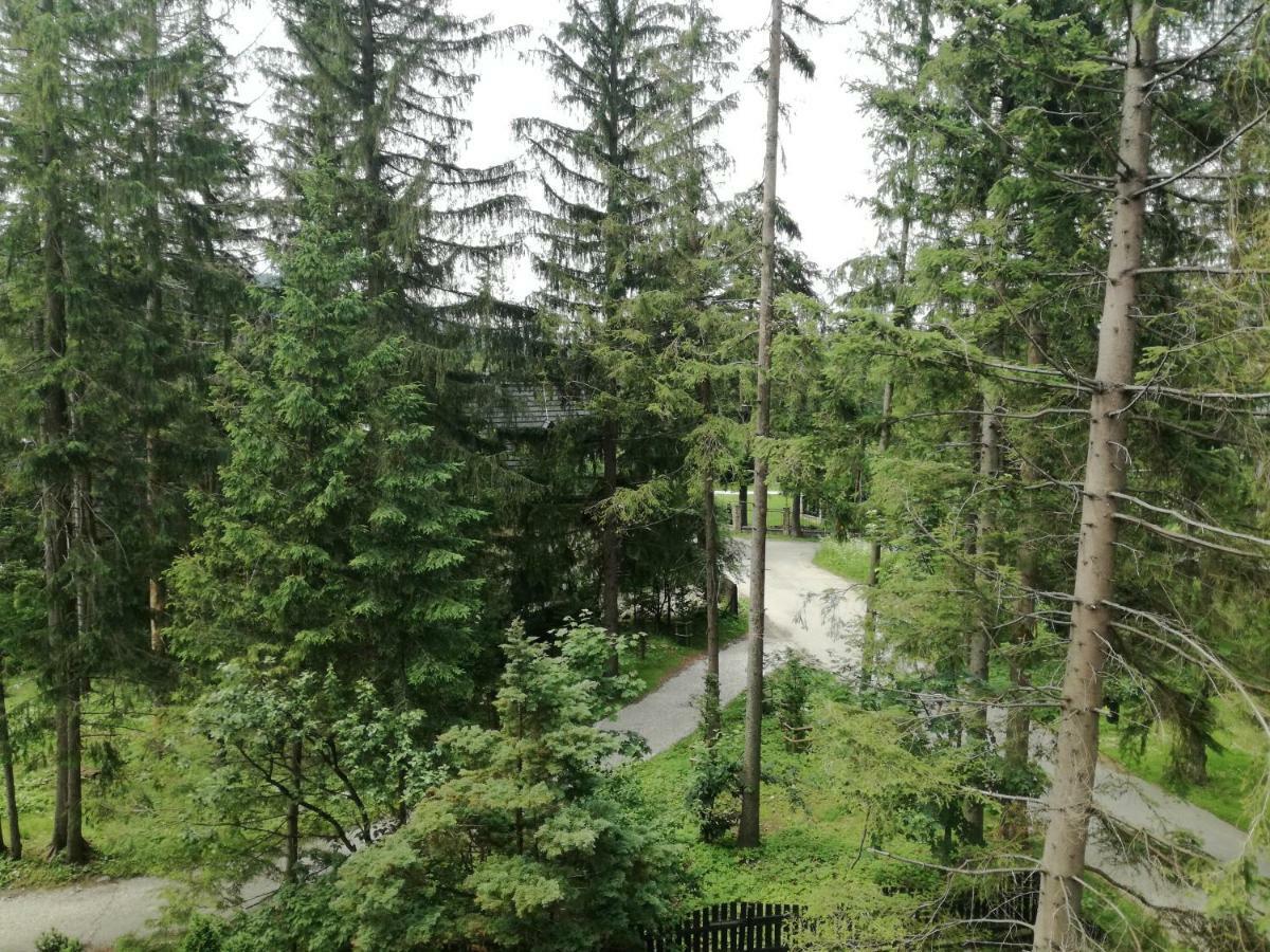 Апартаменты Dom Pod Skocznia Закопане Экстерьер фото