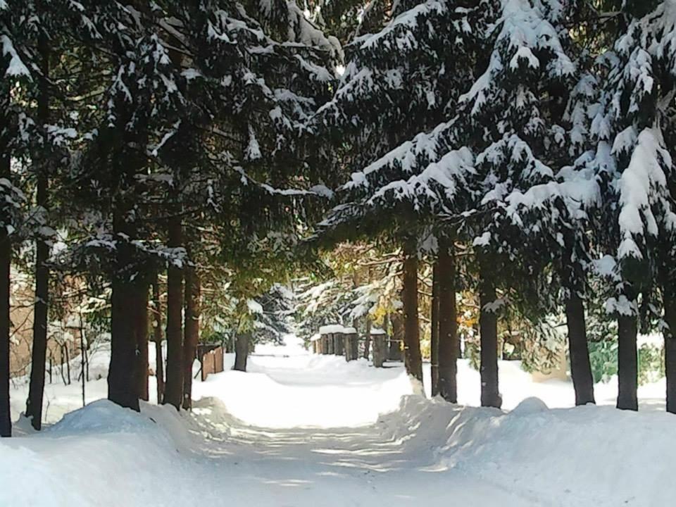 Апартаменты Dom Pod Skocznia Закопане Экстерьер фото